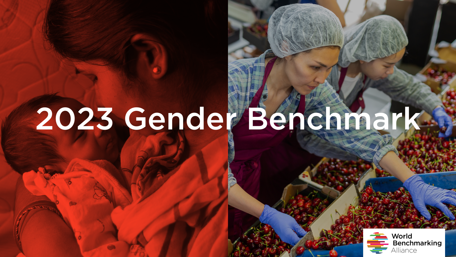 2023 Gender Benchmark - World Benchmarking Alliance