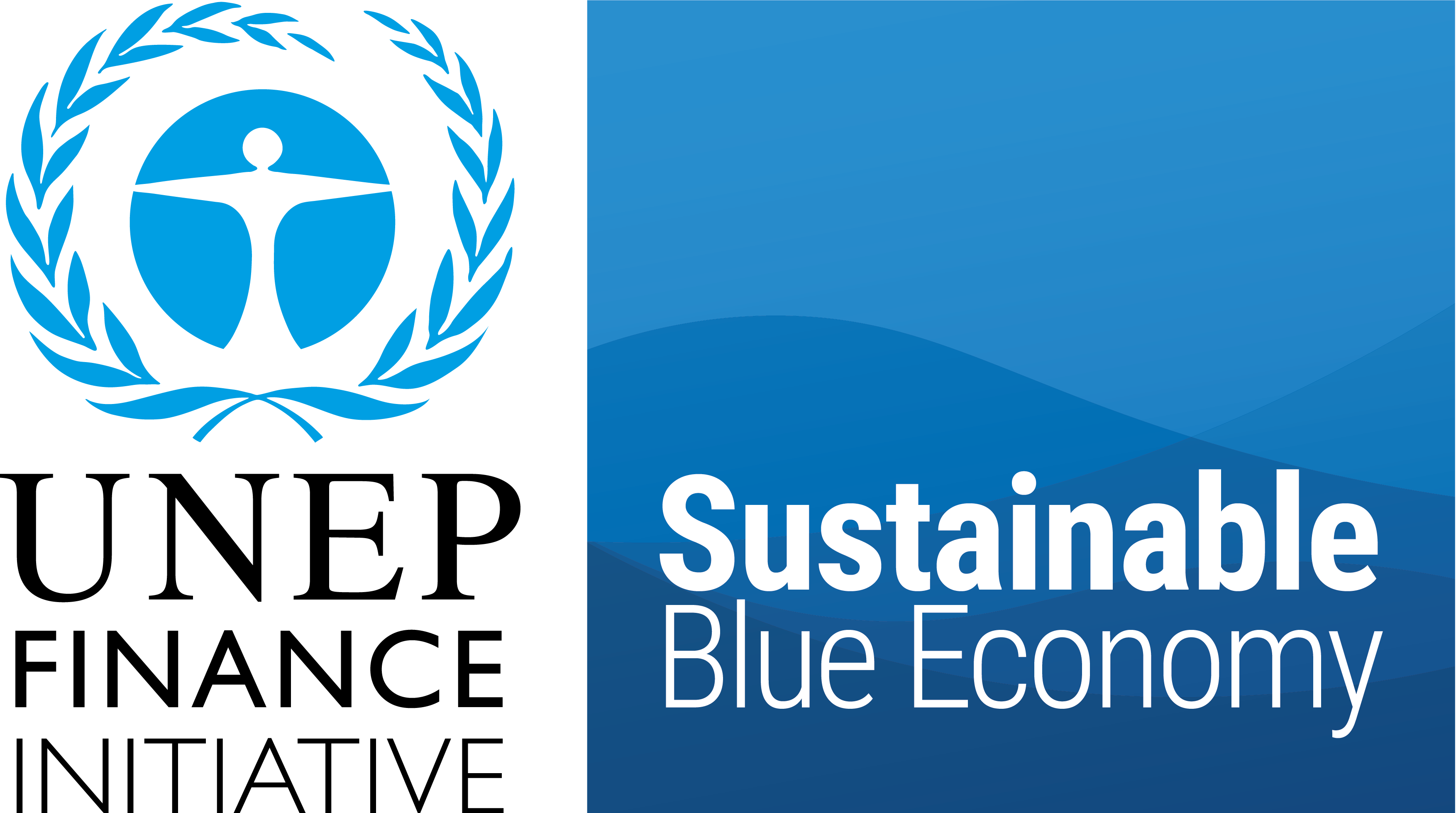 Sustainable Blue Economy Finance Initiative - UNEP FI | World