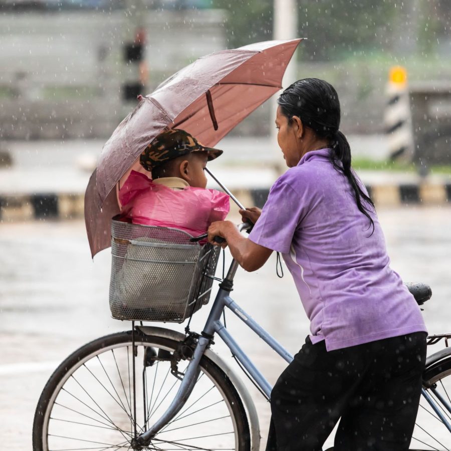 GENDER BENCHMARKING visual data 8