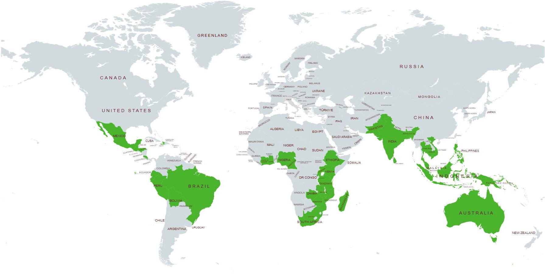Transforming food systems with smallscale food producers at its heart